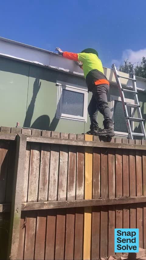 Litter, a report photo