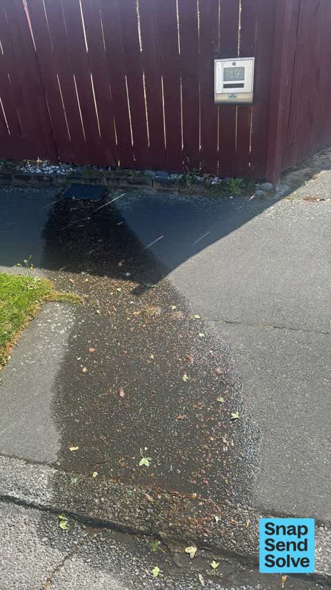 Water Leak, a report photo