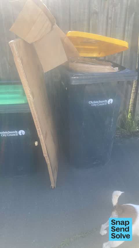 Rubbish and Bins - General, a report photo