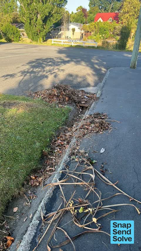 Street Gutters / Storm Water, a report photo