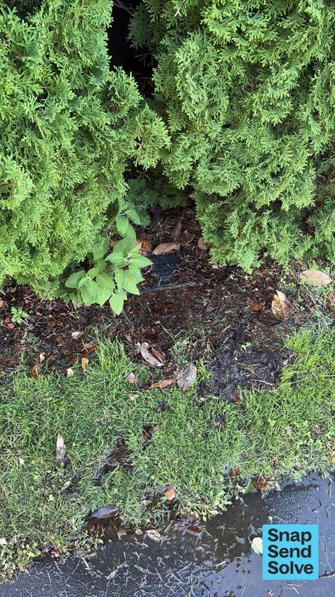 Water Leak, a report photo
