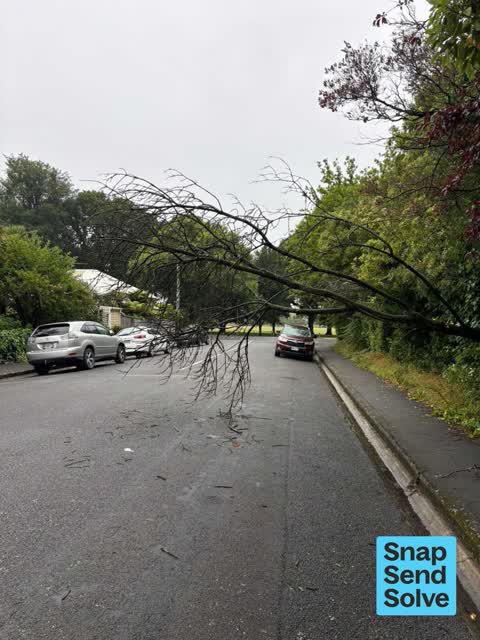 Road Blockage — a report photo