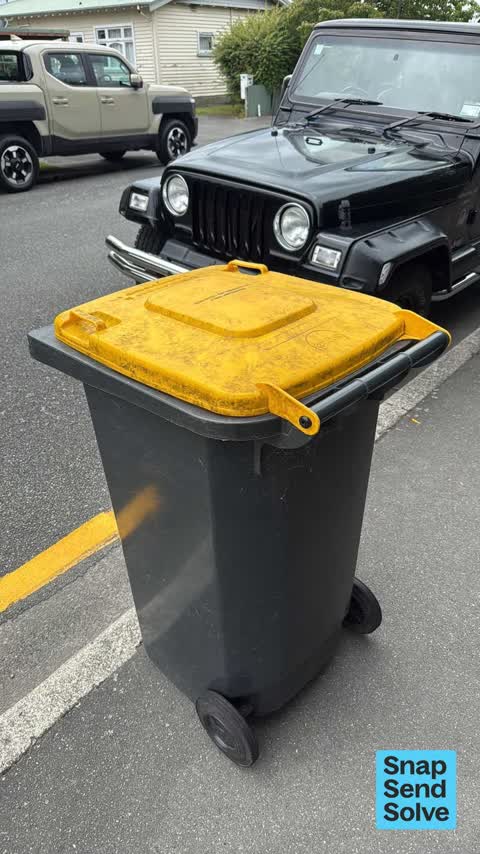 Rubbish and Bins - General, a report photo