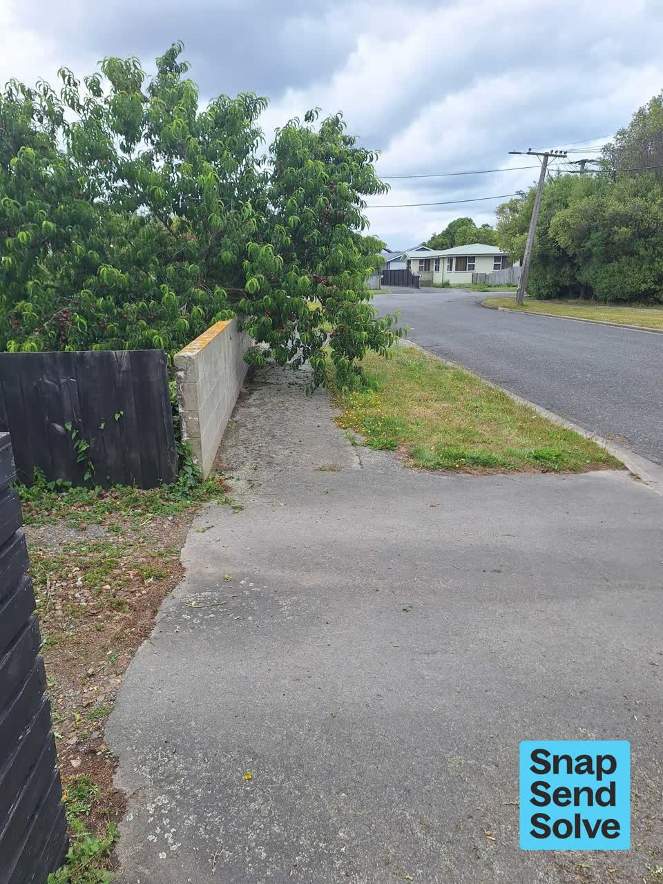 The photograph attached to this overgrown vegetation report