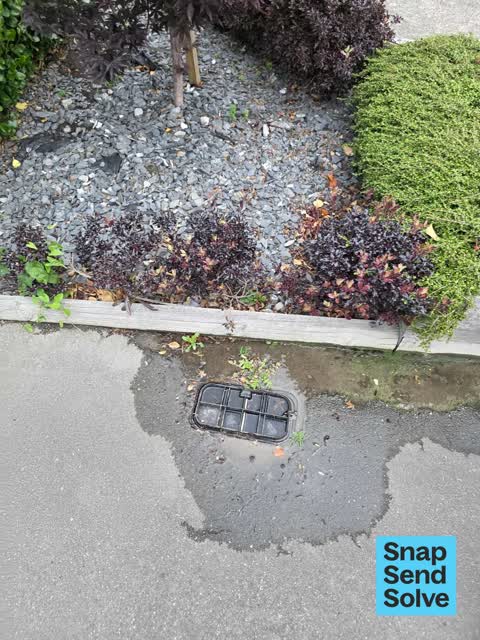 Water Leak, a report photo
