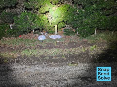 Dumped Rubbish, a report photo