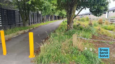 Park - General Request, a report photo