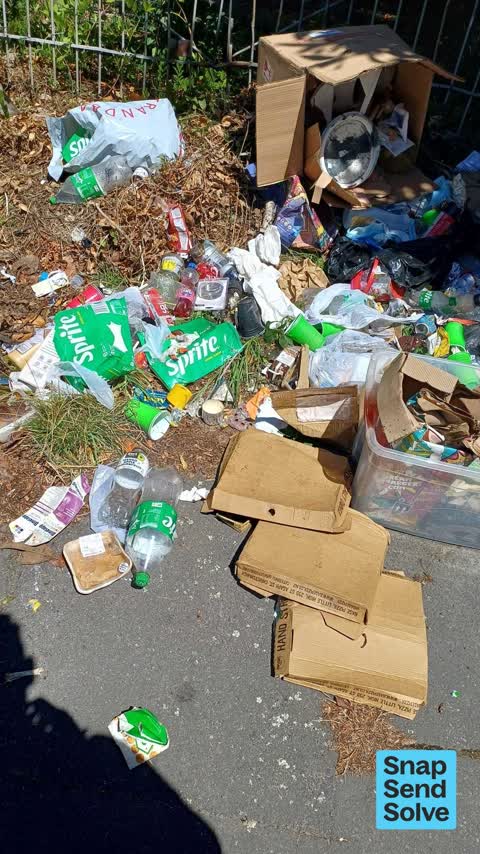 Dumped Rubbish — a report photo