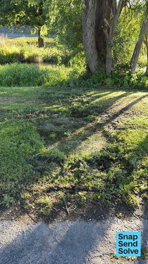 Water Leak, a report photo