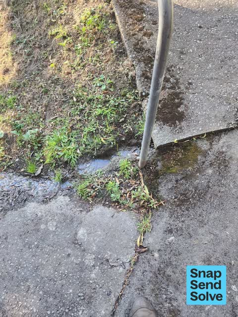 Water Leak, a report photo