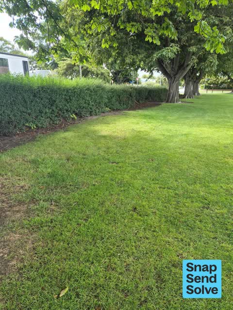 Pest / Vermin, a report photo