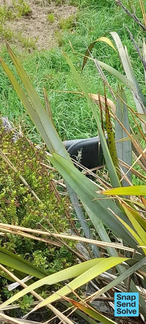Litter, a report photo