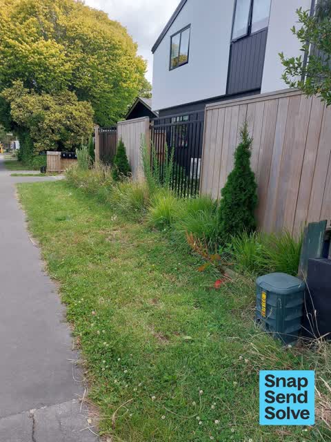 Overgrown Vegetation, a report photo