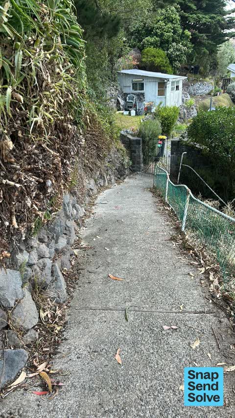 Overgrown Vegetation, a report photo