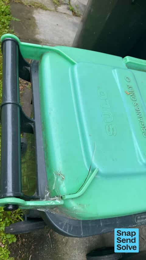 Rubbish and Bins - General, a report photo