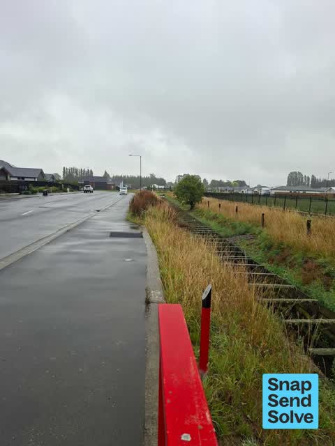 Overgrown Vegetation, a report photo