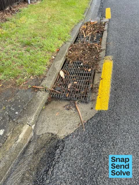 Street Gutters / Storm Water, a report photo