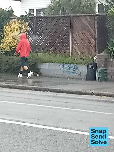 Graffiti on a fence, building or structure, a report photo