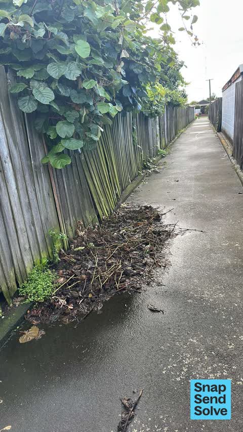 Overgrown Vegetation, a report photo