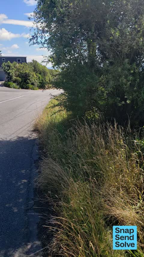 Overgrown Vegetation, a report photo