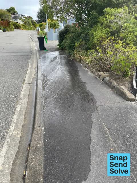 Water Leak, a report photo
