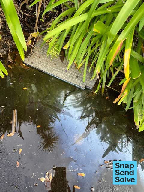 Water Leak, a report photo