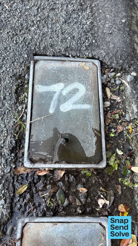 Water Leak, a report photo