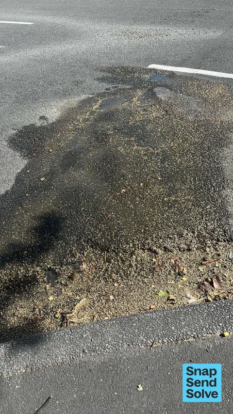 Water Leak, a report photo
