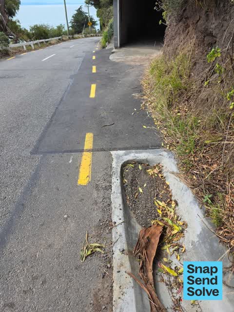 Street Gutters / Storm Water — a report photo