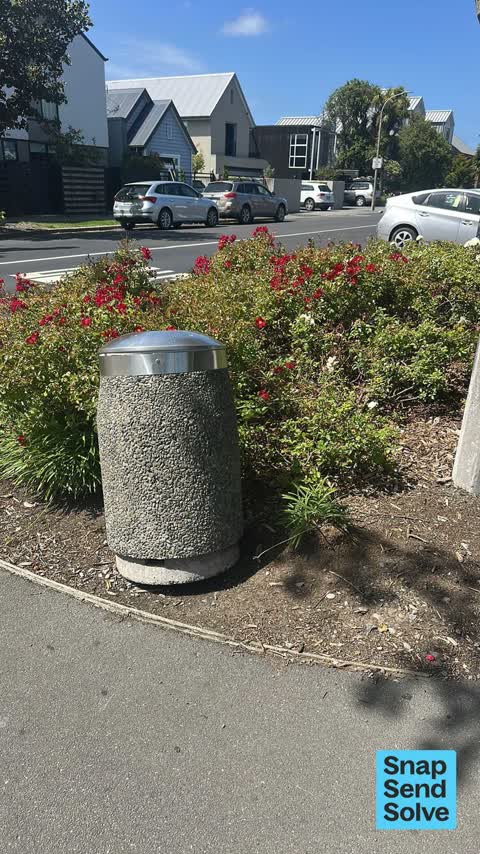 Rubbish and Bins - General, a report photo