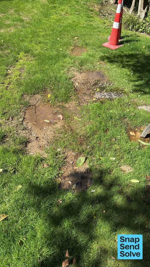 Water Leak, a report photo