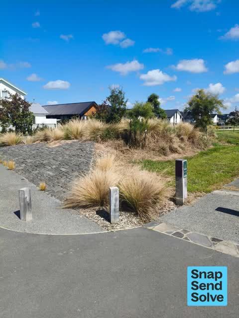 Overgrown Vegetation, a report photo
