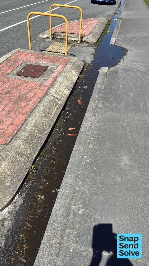 Street Gutters / Storm Water, a report photo