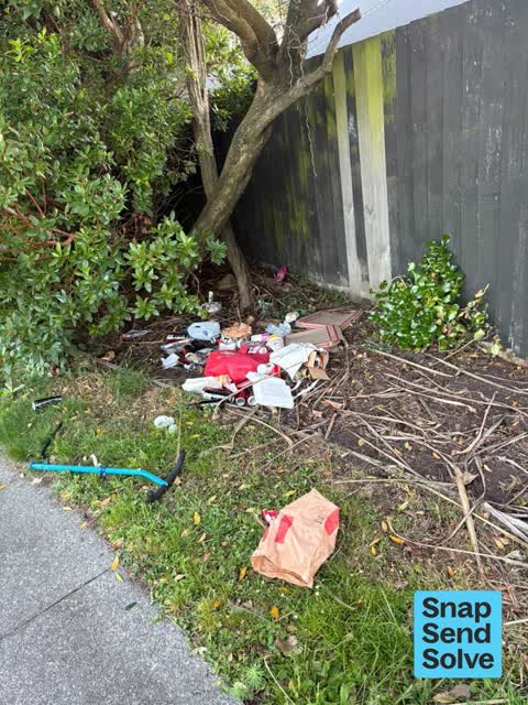 Dumped Rubbish — a report photo