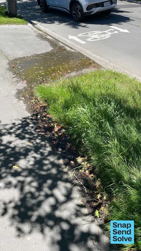 Water Leak, a report photo