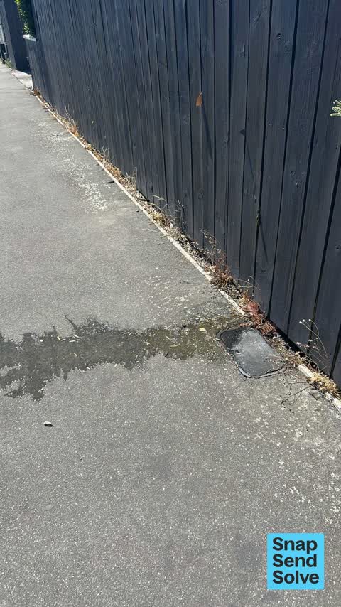 Water Leak, a report photo