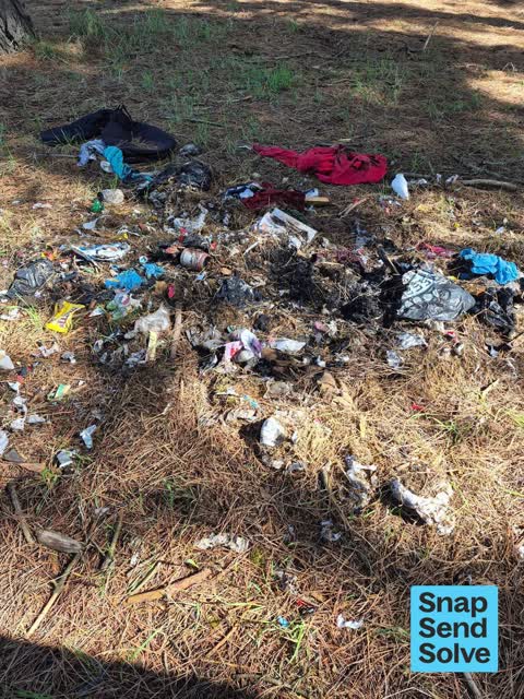 Park - General Request, a report photo