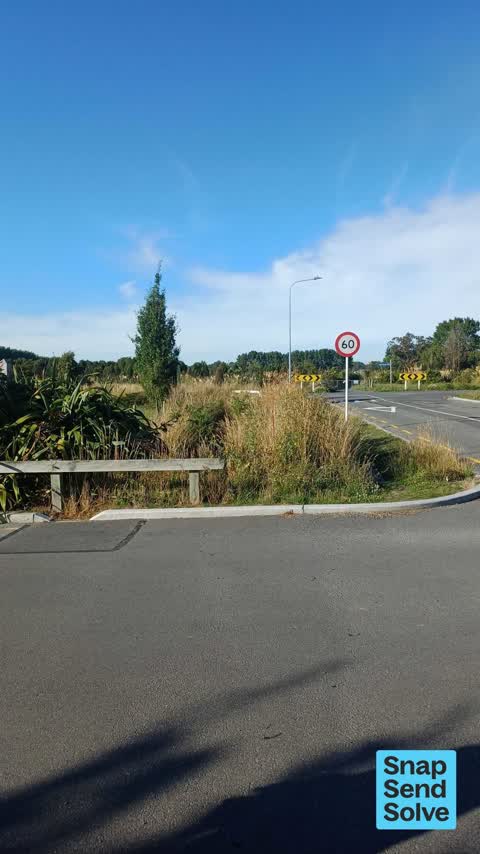 Overgrown Vegetation, a report photo