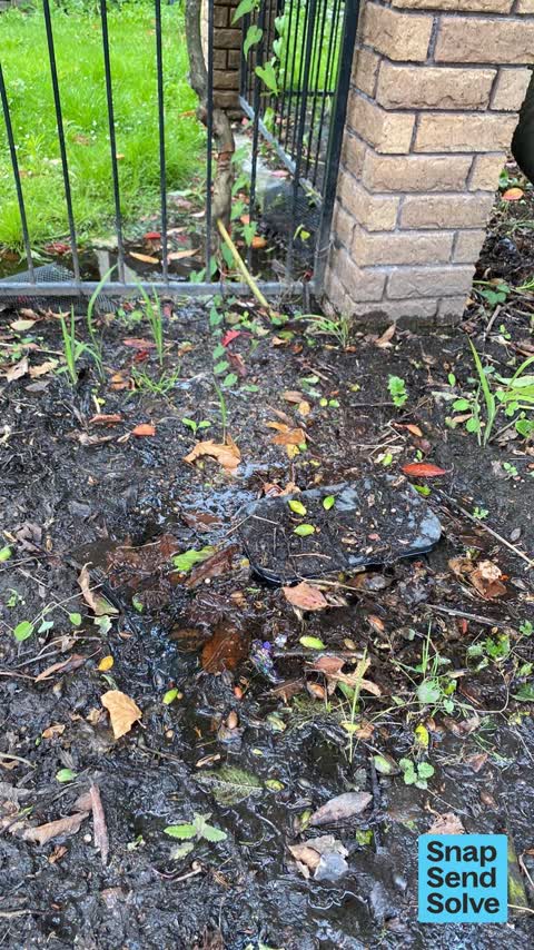 Water Leak, a report photo