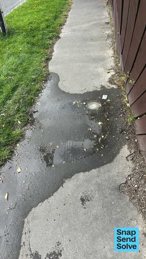 Water Leak, a report photo