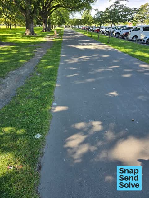 Litter, a report photo