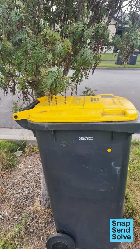 Rubbish and Bins - General, a report photo