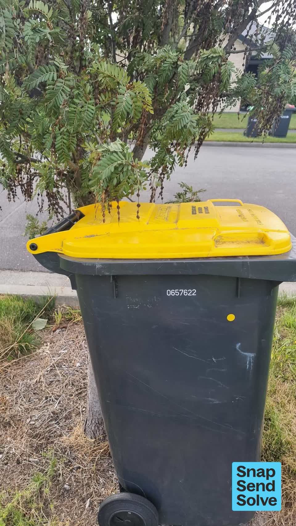 The photograph attached to this rubbish and bins - general report