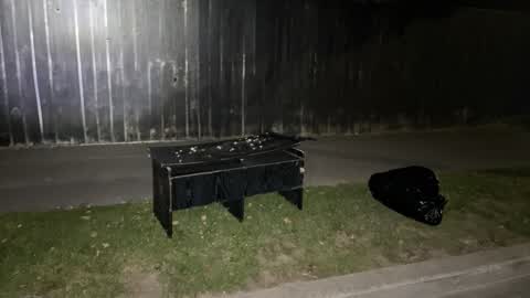 Litter, a report photo