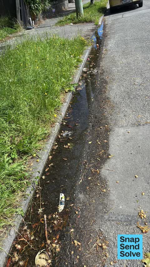 Street Gutters / Storm Water — a report photo