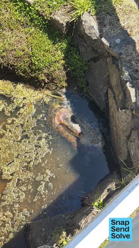 General Request, a report photo