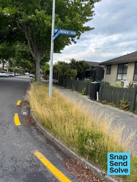 Overgrown Vegetation, a report photo