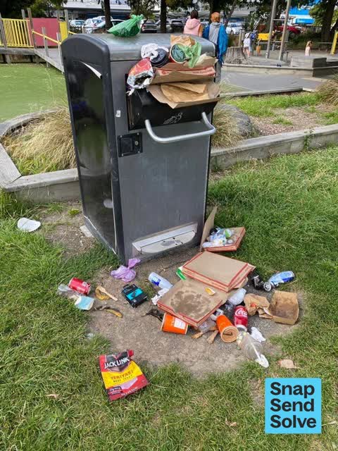 Rubbish and Bins - General — a report photo