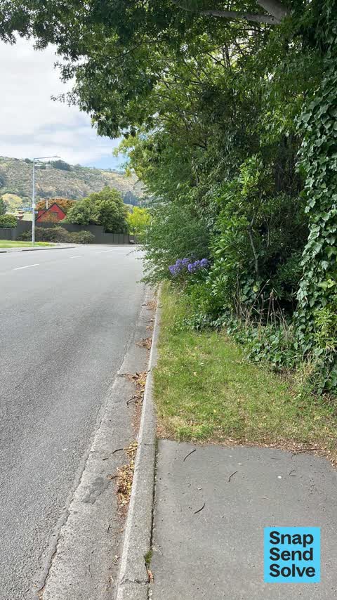 Overgrown Vegetation, a report photo