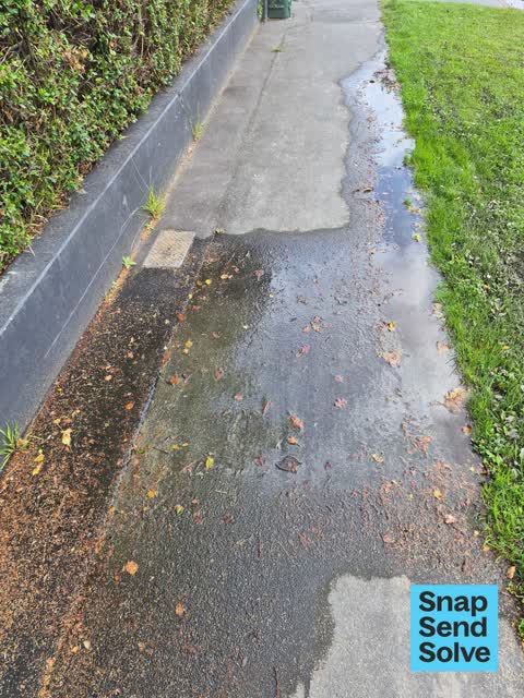 Water Leak, a report photo